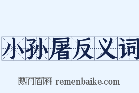 小孙屠反义词是什么意思的图片